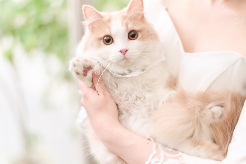 オールシーズン、緑あふれるスタジオで♡