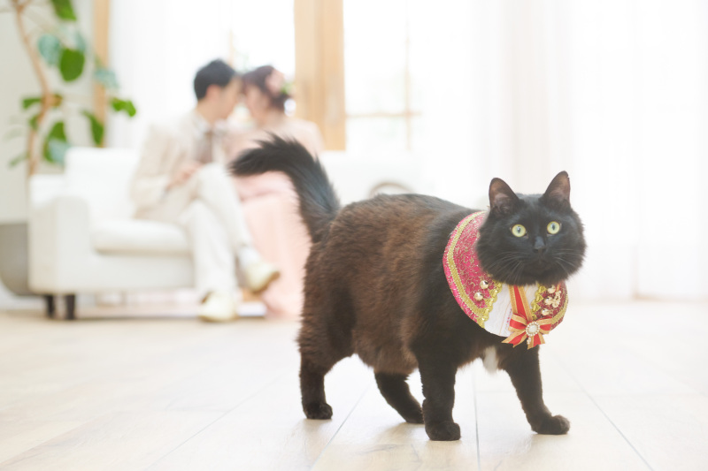 ペットとの撮影も追加料金なし♪