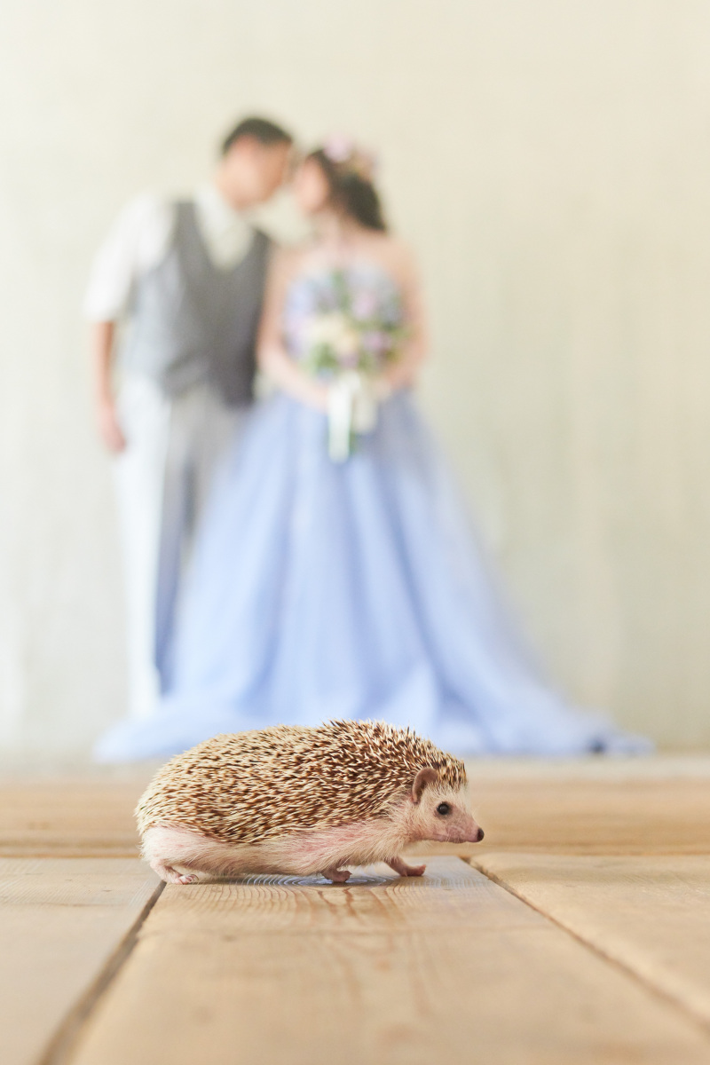 大切な家族のペットも一緒に♡