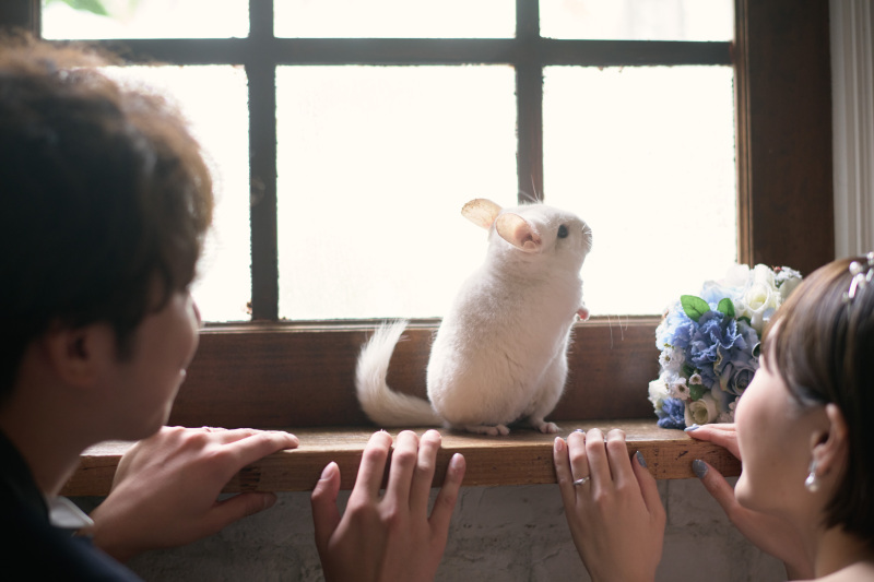 ペットも大切な家族♡