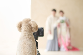 Instagram更新中〜！