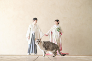 公式LINEでお得な情報をゲット!