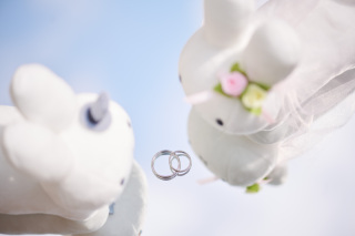 個性豊かなお持ち込みのご紹介♡