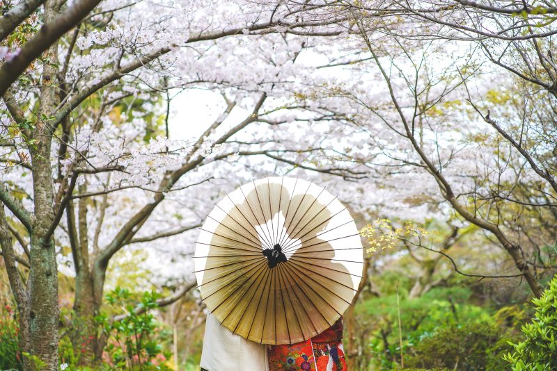桜フォトご予約残りわずかです!