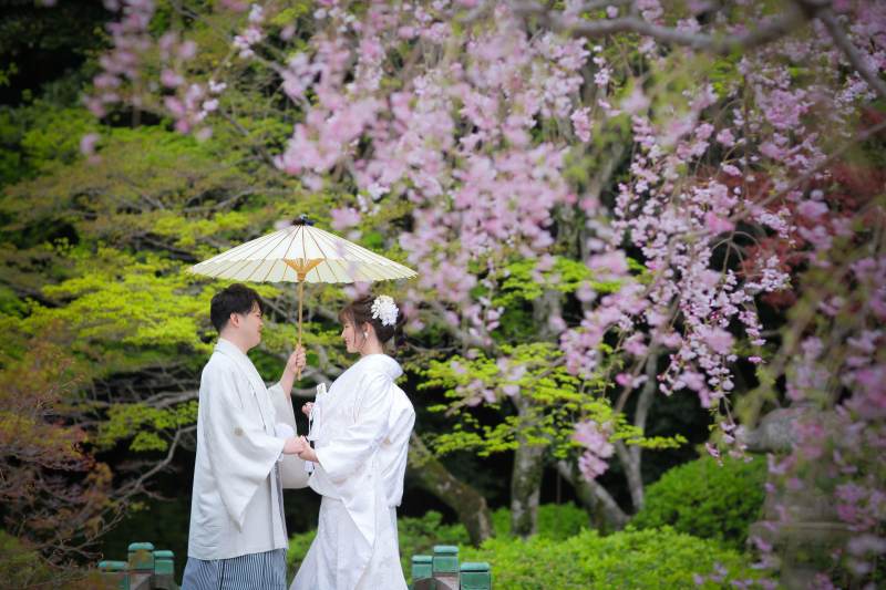 桜フォトご予約残りわずかです!
