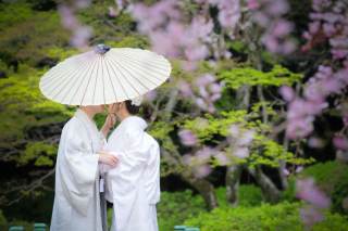 桜フォトご予約残りわずかです！