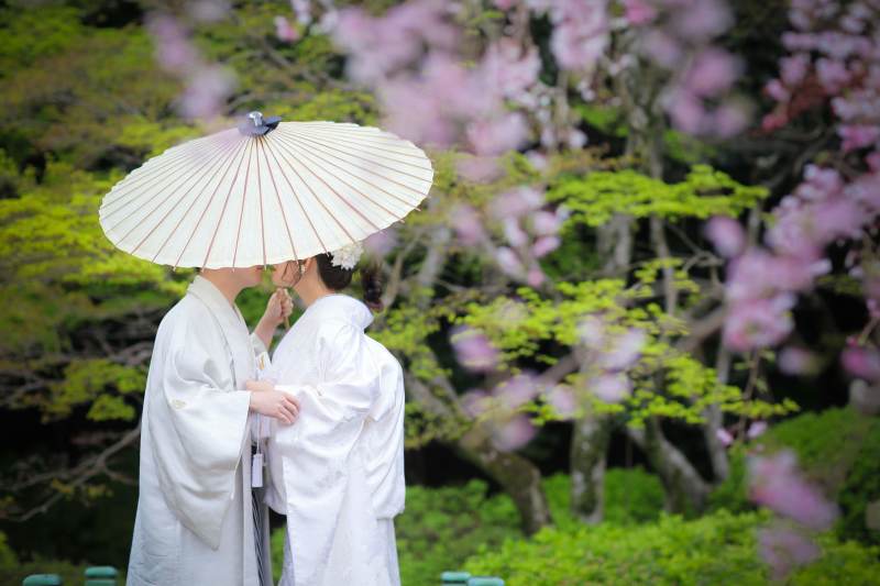 桜フォトご予約残りわずかです!