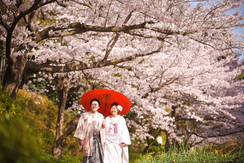 \ご予約はお早めに/桜ロケ×日曜撮影プラン・先着1組様受付中