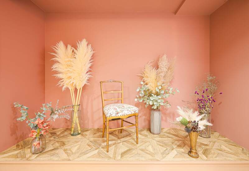 PINK STUDIO を紹介