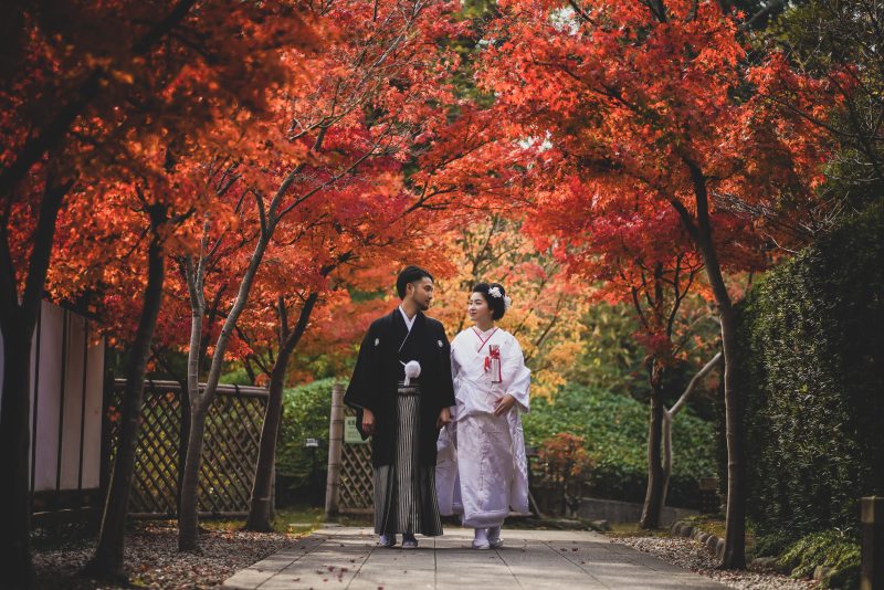 土日の紅葉撮影・残りわずかです!