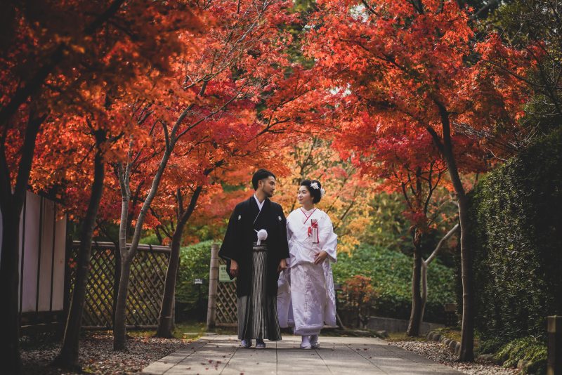 土日の紅葉撮影・残りわずかです！