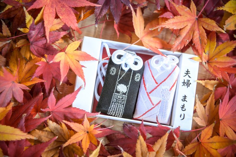 土日の紅葉撮影・残りわずかです！