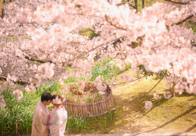 \ご予約はお早めに/桜ロケ×日曜撮影プラン・先着1組様受付中