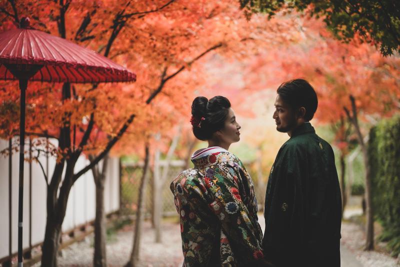 土日の紅葉撮影・残りわずかです！