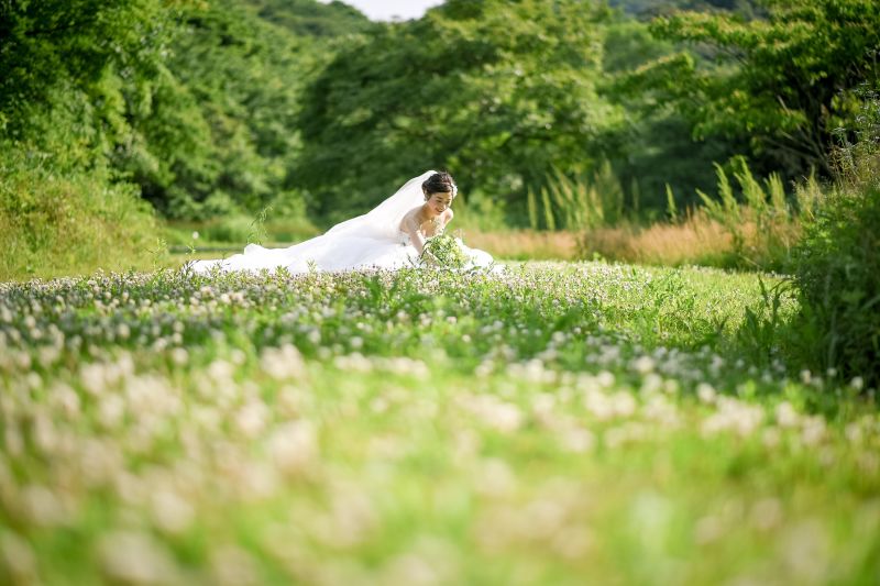 ロケフォトシーズン到来!森・草原編