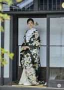 春の新作・色打掛