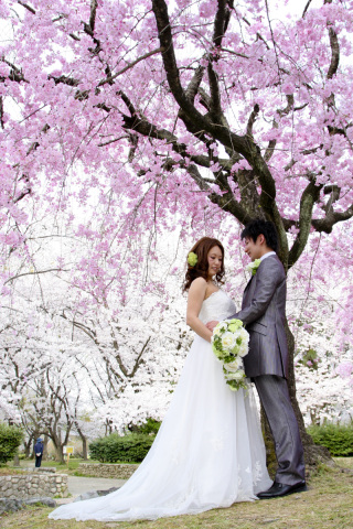 【最新キャンペーン情報】直前割プランについて