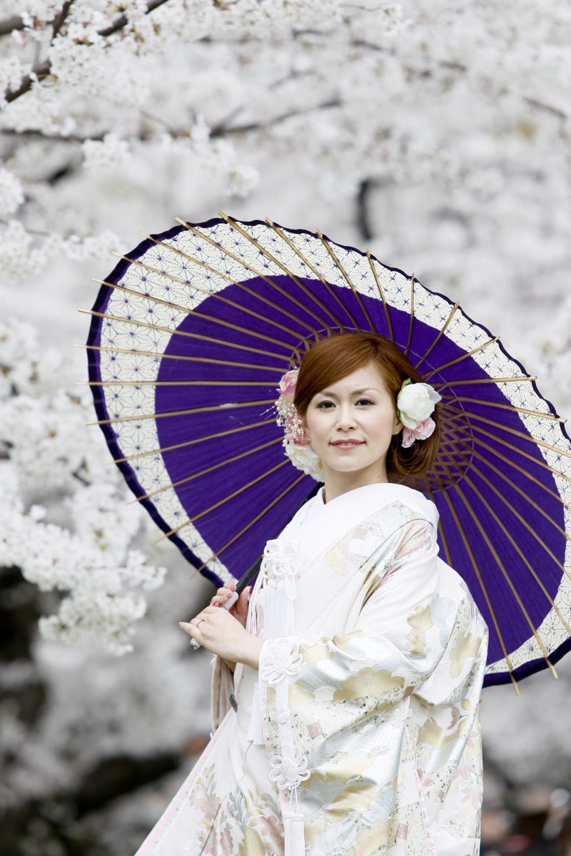 大人気！桜時期のロケーション撮影について
