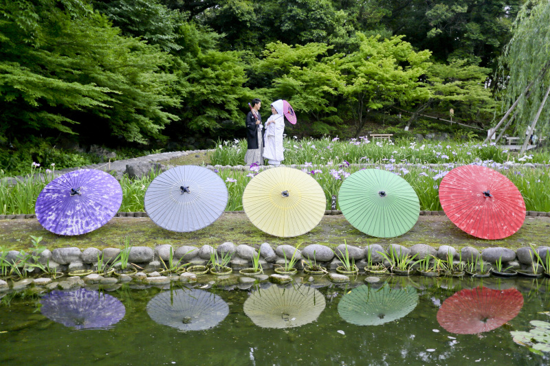 【これからの時期オススメ】暑さの関係のないスタジオ撮影のご紹介
