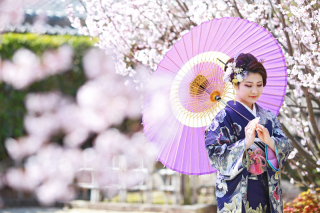 【和装×桜×日本庭園ロケ】3/26（日）・4/4（火）・4/6（木）空きあり！