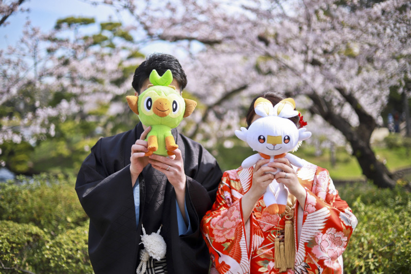 桜ロケはどうですか？
