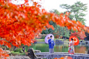 秋晴れの青空と燃える紅葉に包まれて。秋の和装前撮り