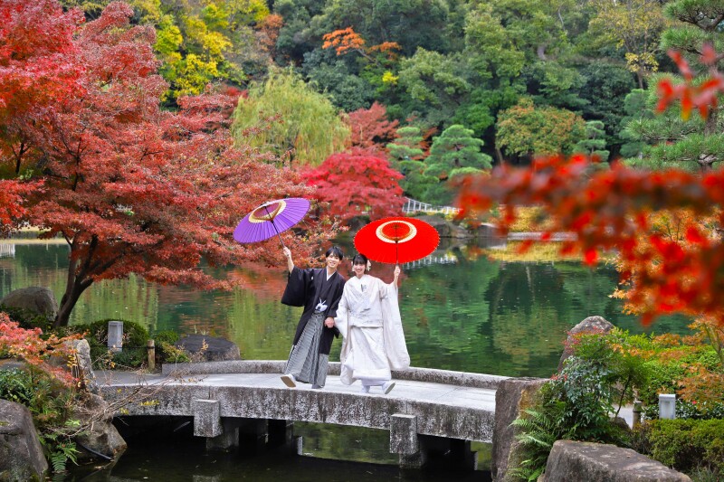 紅葉×和装ロケ撮影のご案内（2025年見頃は11月下旬～12月上旬予想）