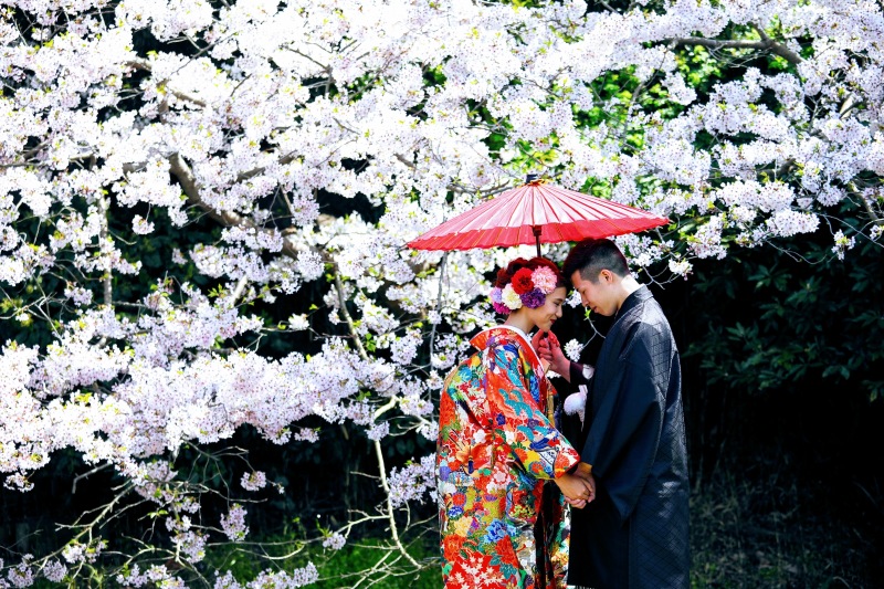 大人気！桜時期のロケーション撮影について