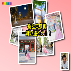 桜と東京駅ロケ！！