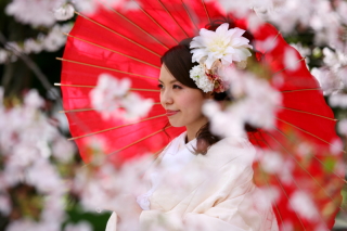 ＜大人気＞梅＆桜ロケ　最新空き状況