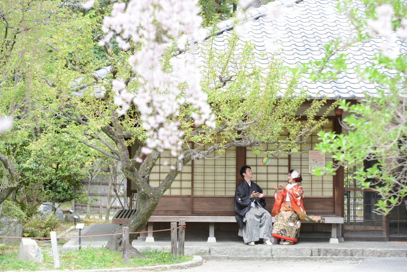 ＜大人気＞梅＆桜ロケ　最新空き状況