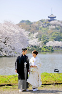 桜&times;和装ロケ&times;直前割｜三渓園撮影3/25と3/26で3枠限定！早いもの勝ちです♪