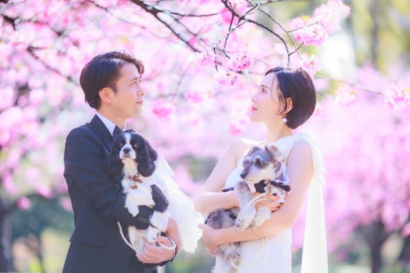 ロケでもスタジオでも、家族の一員ペットとの撮影OKです！