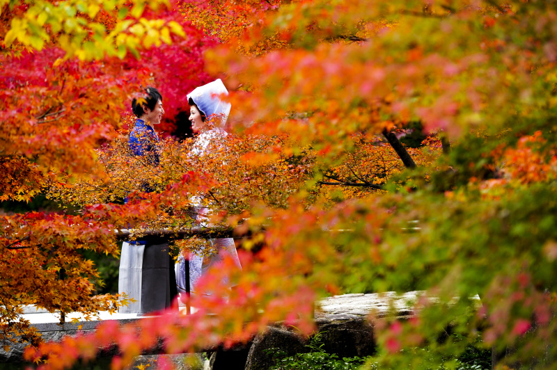 色づく紅葉と朱塗りの鳥居に想いを重ねて。秋を彩る和装前撮り
