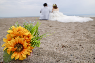 Instagramも随時更新中！！