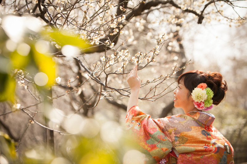 桜ロケはどうですか？