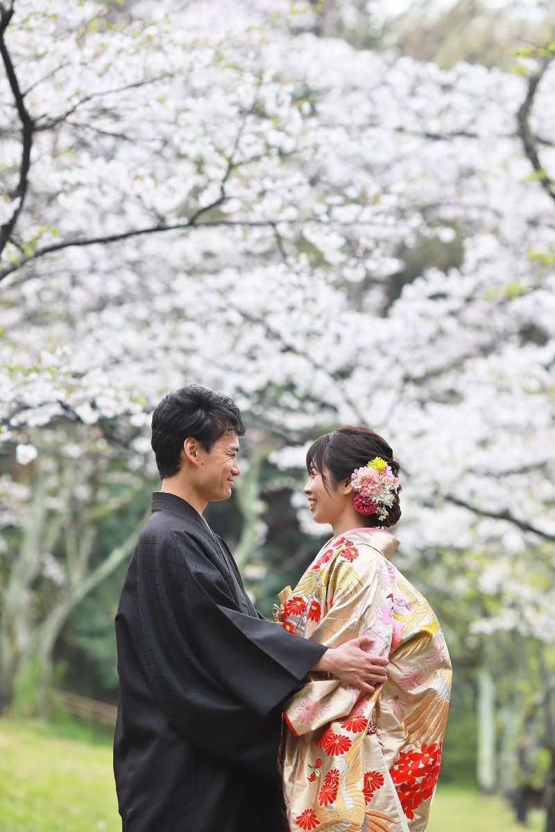 桜ロケはどうですか？