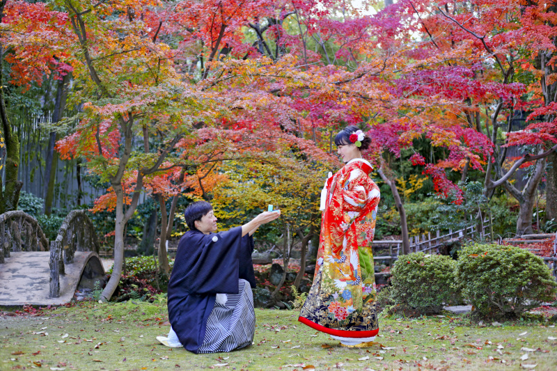 紅葉×和装ロケ撮影のご案内(2025年見頃は11月下旬~12月上旬予想)