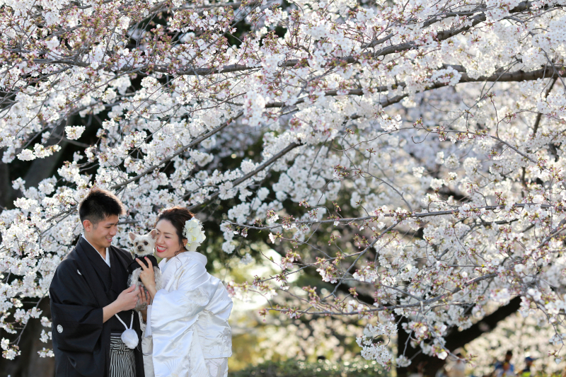 わんちゃん、ねこちゃん、ペットとの撮影大歓迎♪