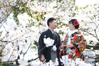 桜ロケはどうですか?