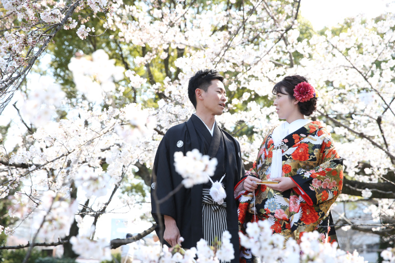 桜ロケはどうですか?