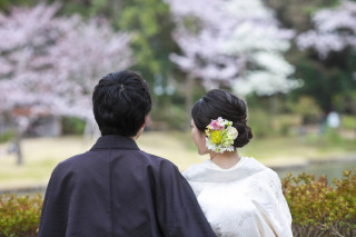 桜ロケはどうですか？