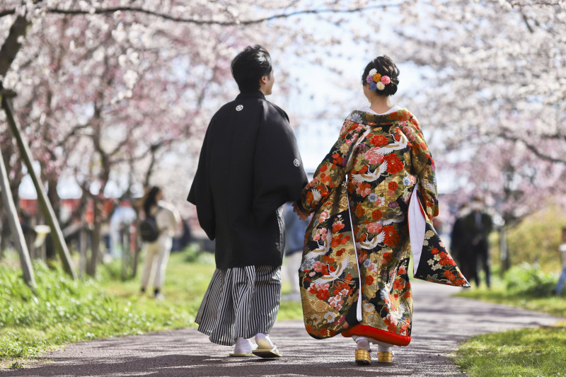 桜ロケはどうですか？