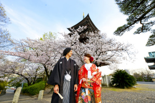 大人気!桜時期のロケーション撮影について