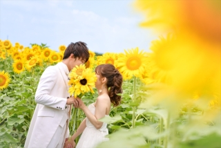 【季節限定！】ひまわり畑でウエディングフォト♡