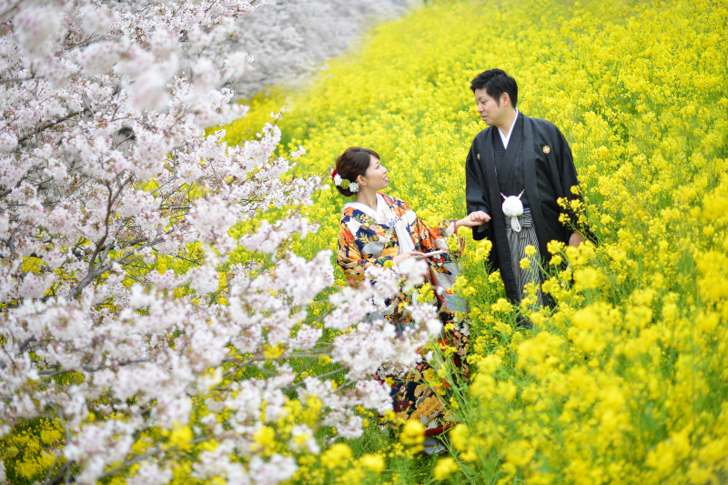 桜ロケーションフォト