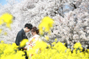 毎年大人気の桜フォト受付中♪