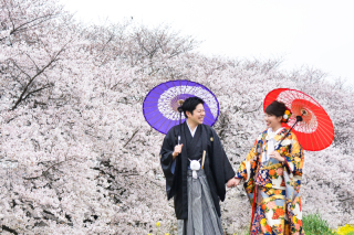 桜ロケーション撮影☆