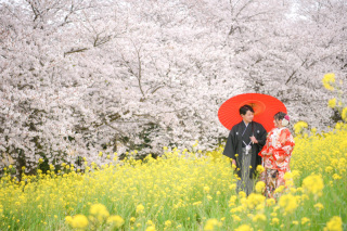 ウェディング☆2023桜フォトご予約開始