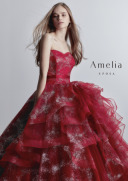 新入荷衣裳お披露目会＆試着・相談会　ご予約受付中【7/27（水）～8/7（日）】